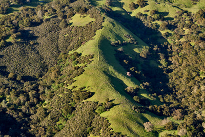 Nashville to Napa