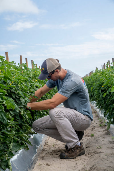 Love Thy Farmer: Seaside Grown