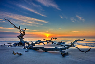 Georgia's Best Kept Secret: The Golden Isles