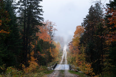 Fall Foliage Driving Routes