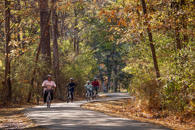 Ridgeland: Where Charm Meets Adventure