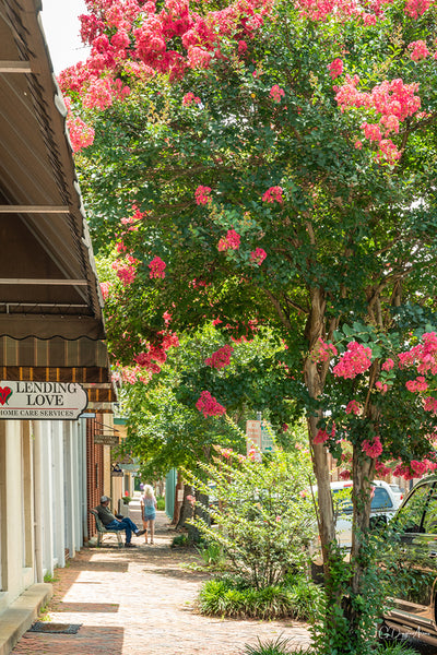 Travel Like a Local: Natchez, Mississippi