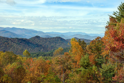 A Mountain of Color