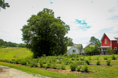 Farm Livin' is the Life for Me!