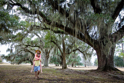 3 Ways to Enjoy The Northshore This Fall