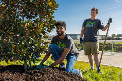 SCAD Design for Good: Bettering Savannah One Tree at a Time