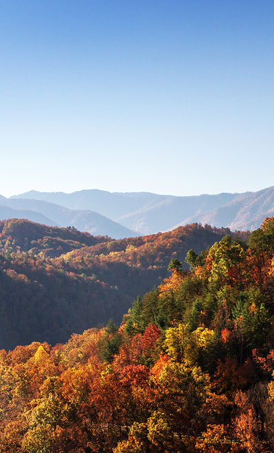 Get Outdoors in Gatlinburg