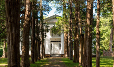 Your Mississippi Road Trip Guide