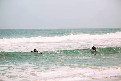 An Artist's View of Virginia Beach